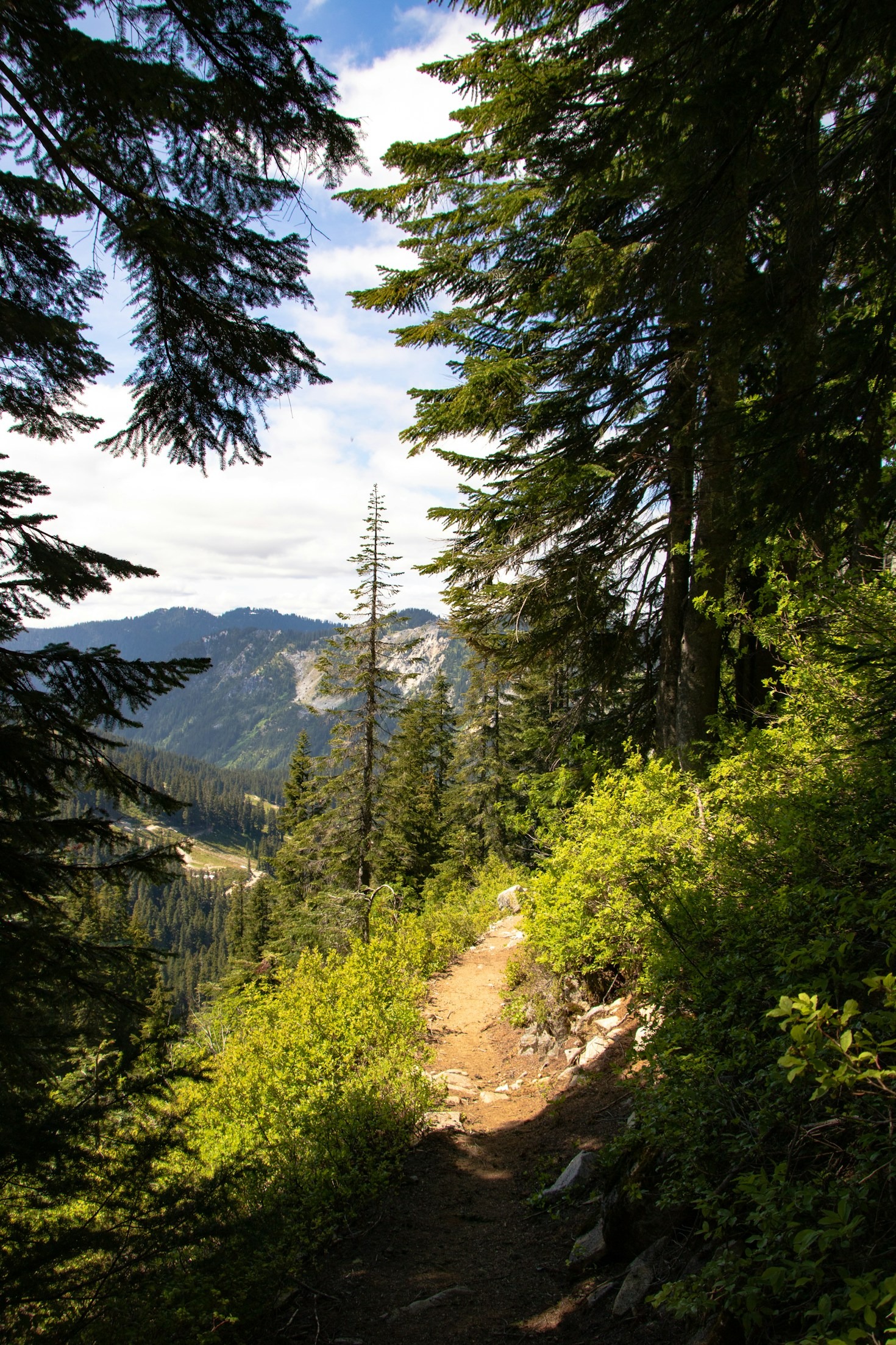 Creating Family-Friendly Nature Trails on Private Acreage